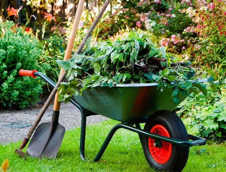 Garden Maintenance Sydney | Gardening Services | Gardener Sydney