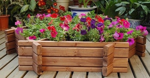 beautiful wood planter sydney