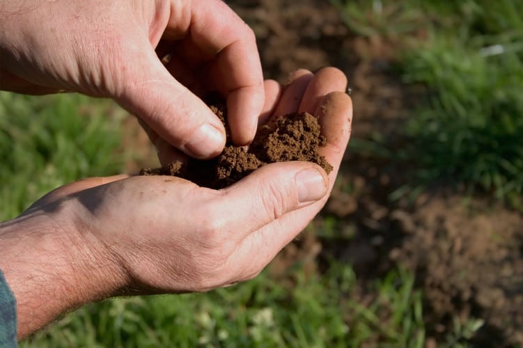 NBG landscapes' team member testing soil