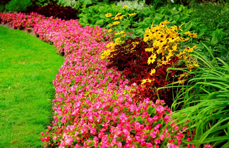 beautiful garden landscape