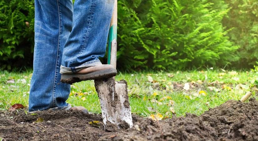 gardener digging up dirt in backyard