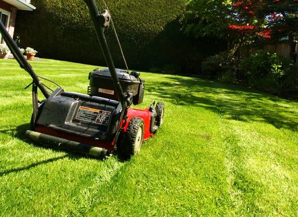 lawn mowing in Sydney