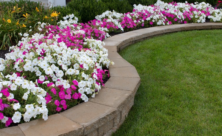 retaining walls along the garden