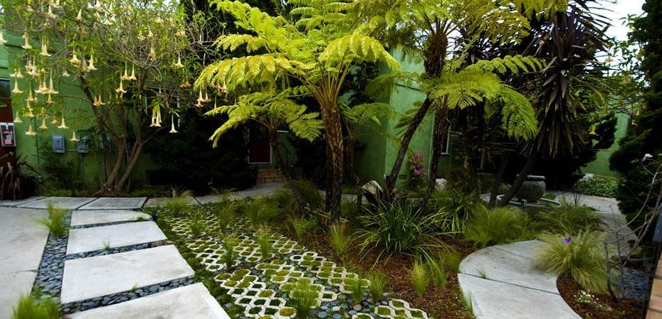 sustainable landscape in Sydney