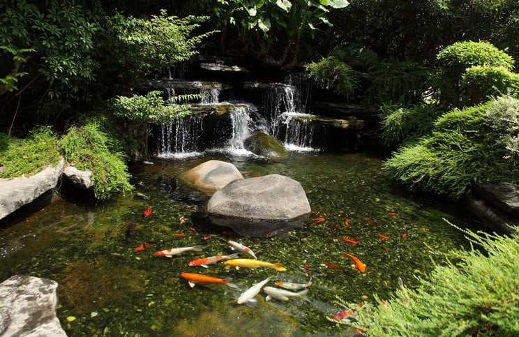 water garden design ideas