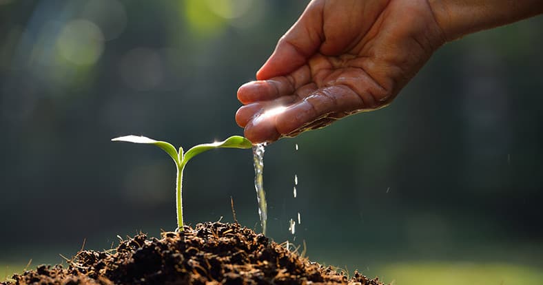 watering plants on time