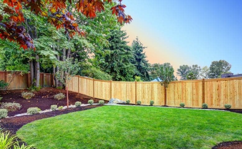 beautiful backyard lawn