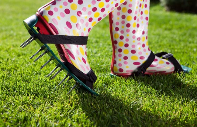 lawn aerator sandals