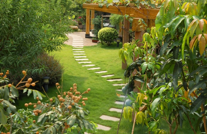 professionally landscaped garden