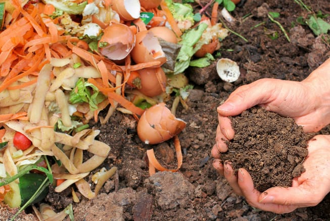 creating a compost pile