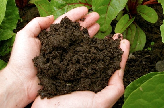 improving garden soil