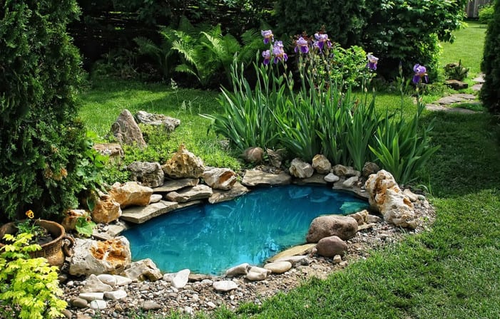 backyard ideas with small pond