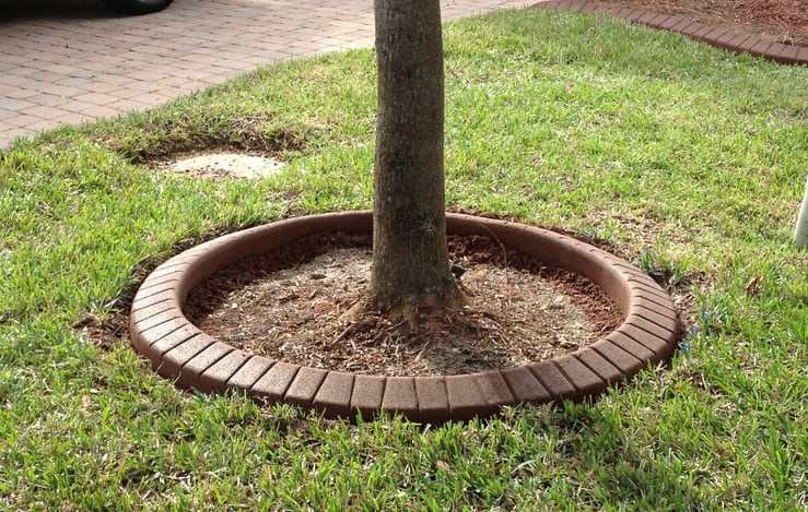 brick tree rings