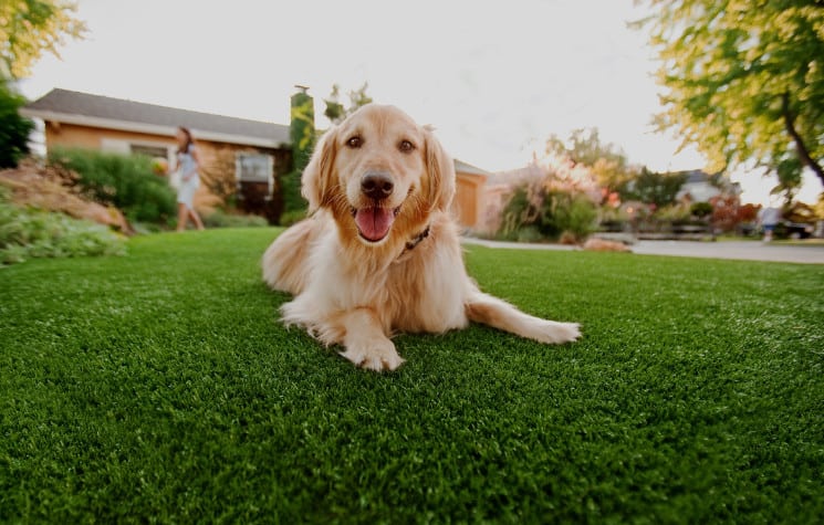 synthetic grass turf for kids and pets