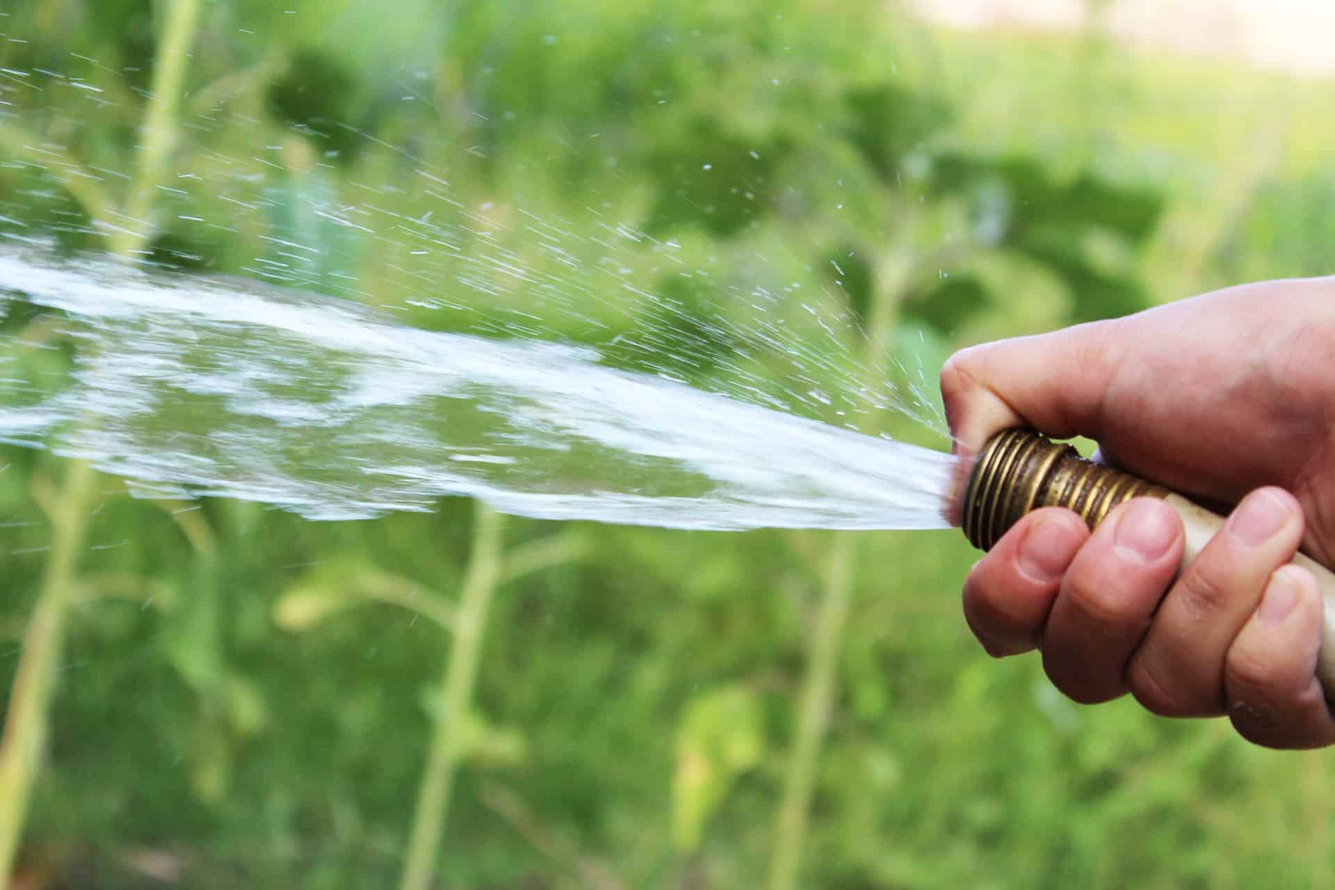 Basics for Watering the Lawn