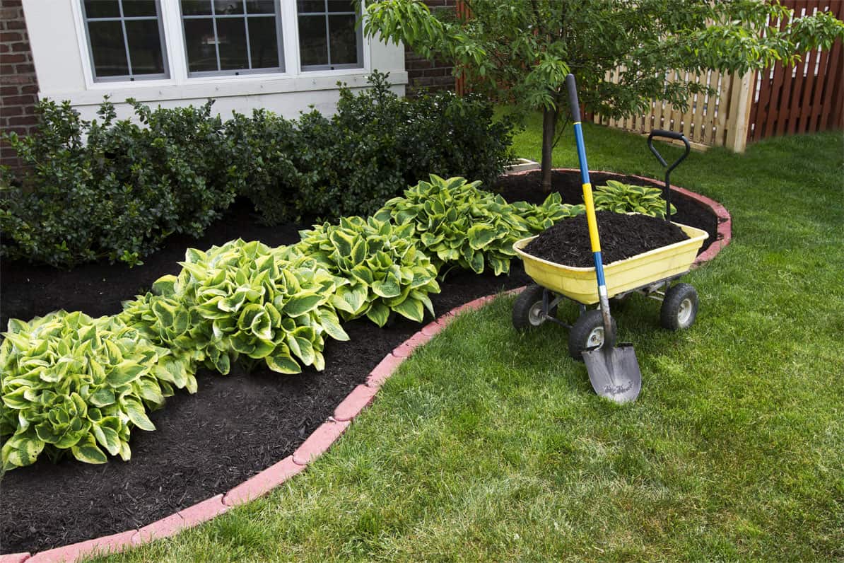 Best Mulch for the Soil