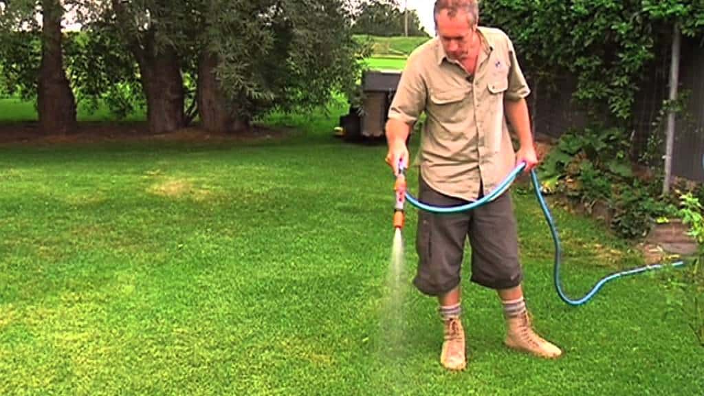 Gardener waterning his lawn