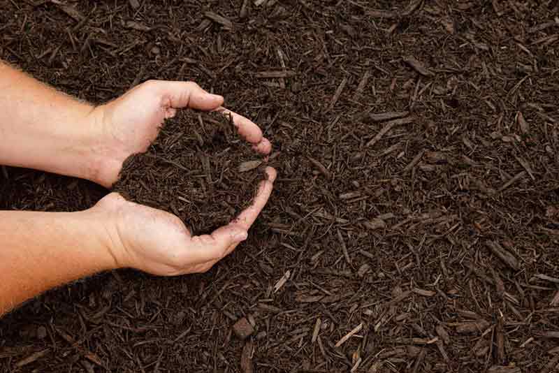 Organic Mulch is Best for Soil