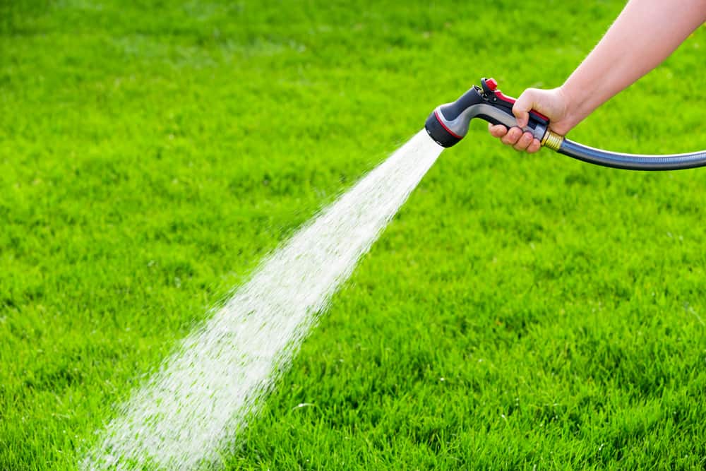 understanding-the-basics-of-watering-your-garden-lawn-in-sydney