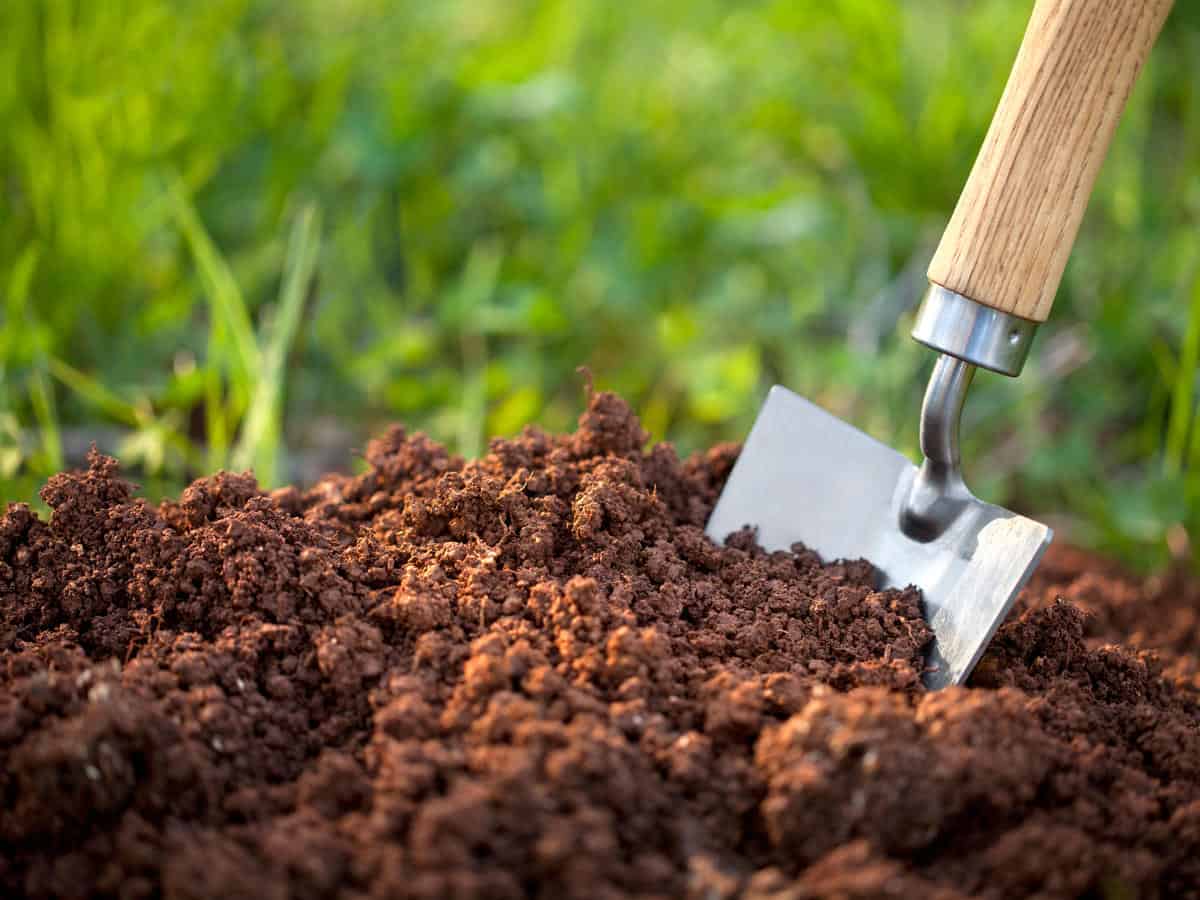 Ph Value needed for Better Soil