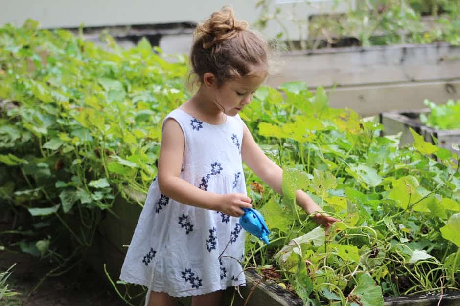 little girl standing besides grass plant in the garden