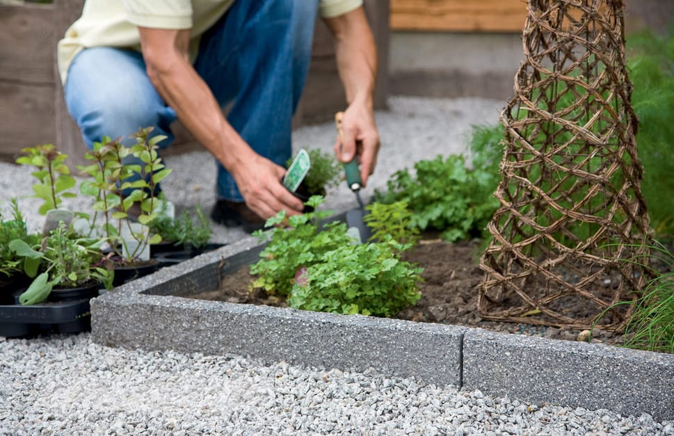 affordable landscape edging ideas