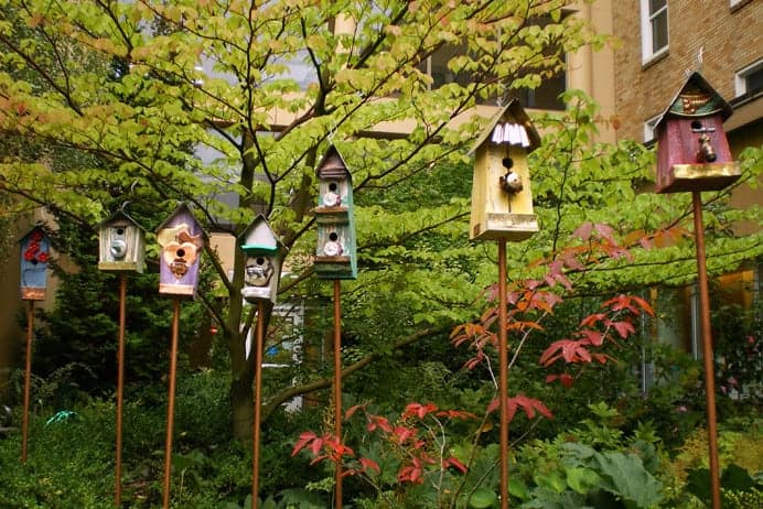 birdhouses in a garden