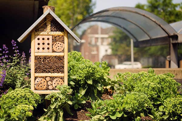 wooden bee shelter in a garden